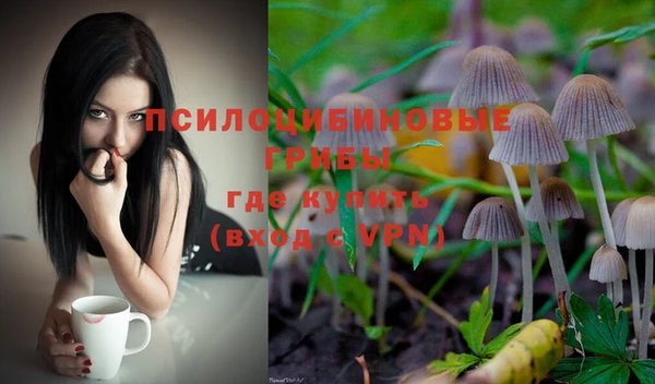 MESCALINE Горно-Алтайск