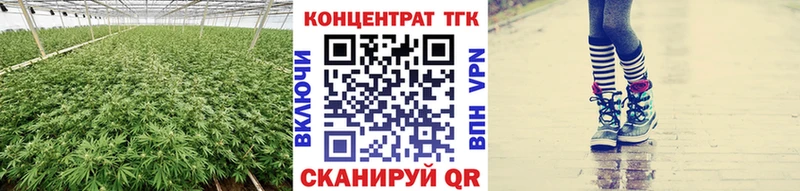 ТГК вейп с тгк купить закладку Заполярный