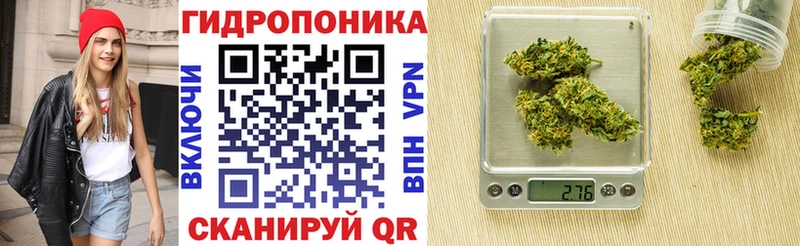 Каннабис сатива  Заполярный 